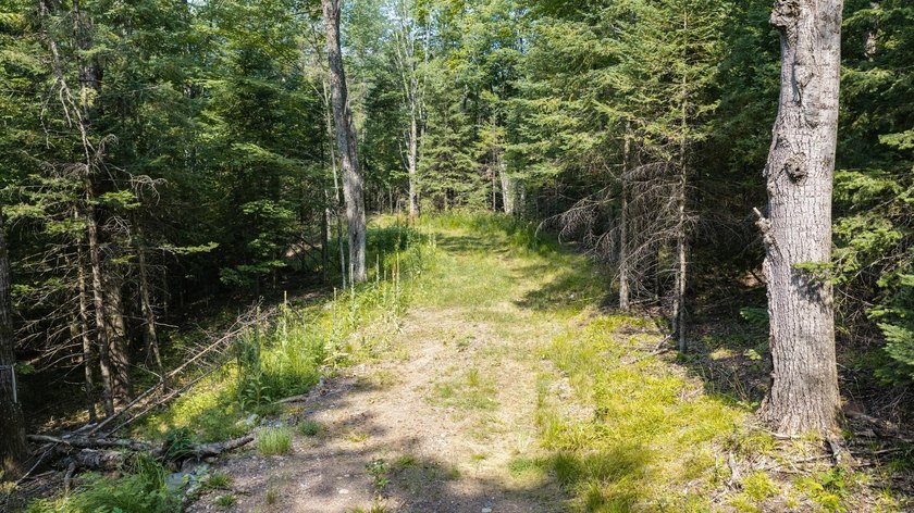 Exceptional opportunity to own 4.4 wooded acres with 326 feet of - photo 5