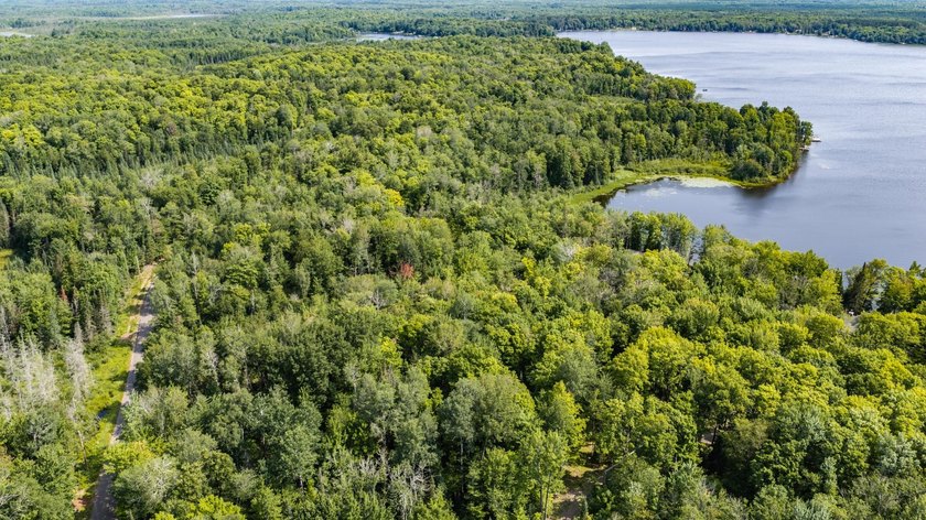 Exceptional opportunity to own 4.4 wooded acres with 326 feet of - photo 7