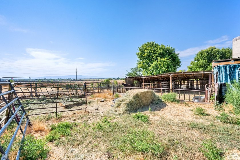 This rare 6.63-acre property within city limits features a - photo 45