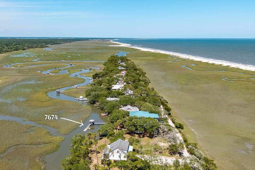 Ocean views! Marsh Views! Private Dock!!!! Nestled within the - photo 4