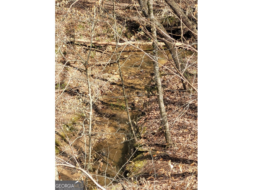 26.706 acres for sale located just west of historic downtown - photo 4