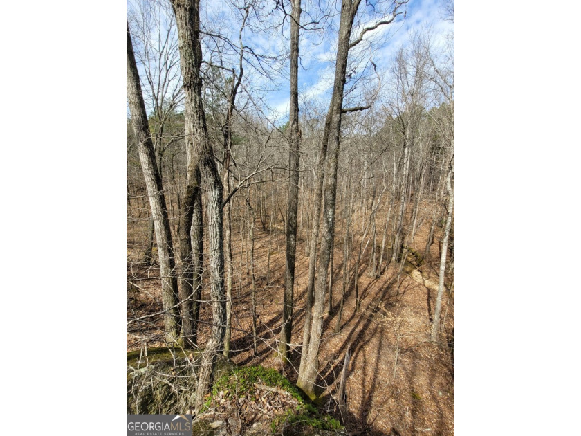 26.706 acres for sale located just west of historic downtown - photo 6