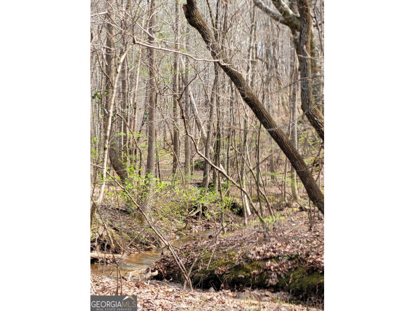26.706 acres for sale located just west of historic downtown - photo 8