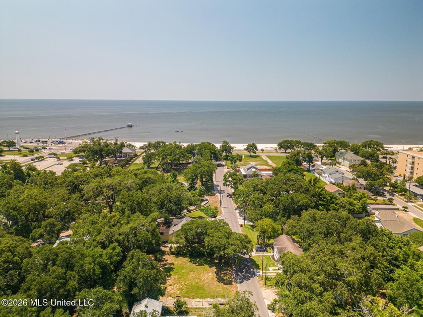 Discover the perfect setting for your dream home at 146 Gill Ave - photo 15