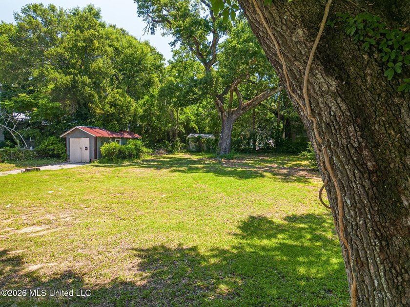 Discover the perfect setting for your dream home at 146 Gill Ave - photo 18