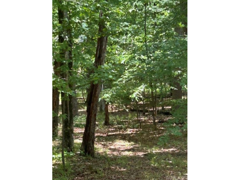 Don't miss your opportunity to own property on beautiful Lake - photo 3