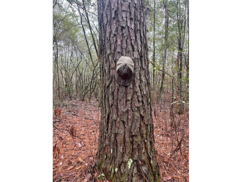 LOCATED IN WAYNE COUNTY, MISSISSIPPI, ROUGHLY NINE MILES - photo 2