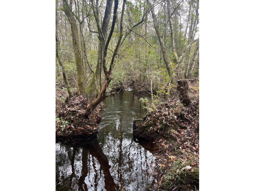 LOCATED IN WAYNE COUNTY, MISSISSIPPI, ROUGHLY NINE MILES - photo 3
