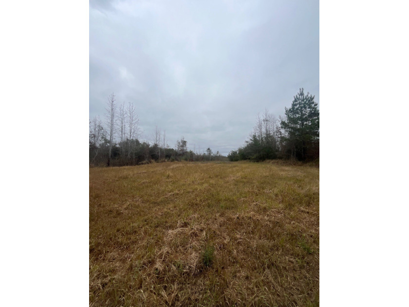 LOCATED IN WAYNE COUNTY, MISSISSIPPI, ROUGHLY NINE MILES - photo 5