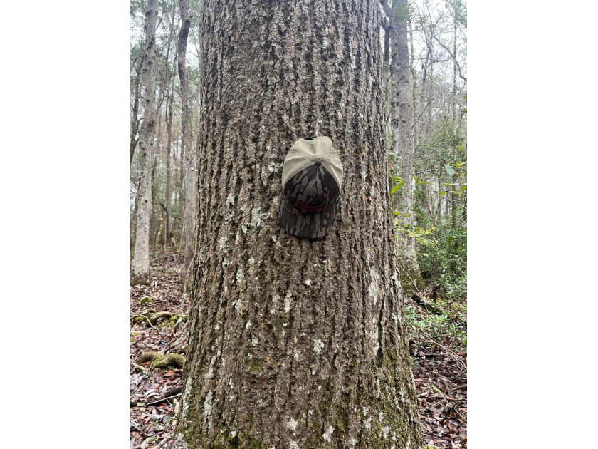 LOCATED IN WAYNE COUNTY, MISSISSIPPI, ROUGHLY NINE MILES - photo 6