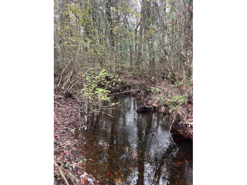 LOCATED IN WAYNE COUNTY, MISSISSIPPI, ROUGHLY NINE MILES - photo 8