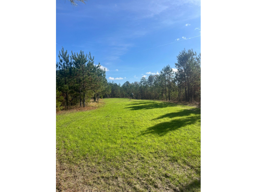 LOCATED IN WAYNE COUNTY, MISSISSIPPI, ROUGHLY NINE MILES - photo 10