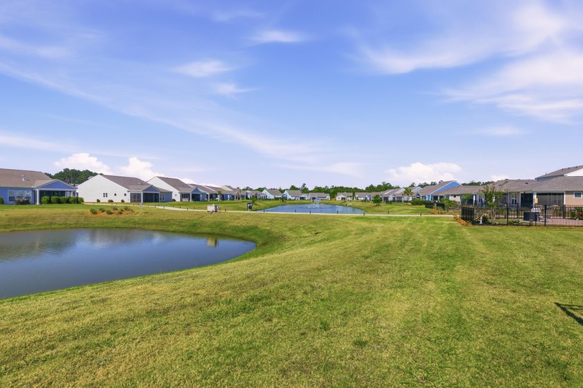 Welcome to 357 Dahlia Row in Del Webb Charleston at Nexton - - photo 25