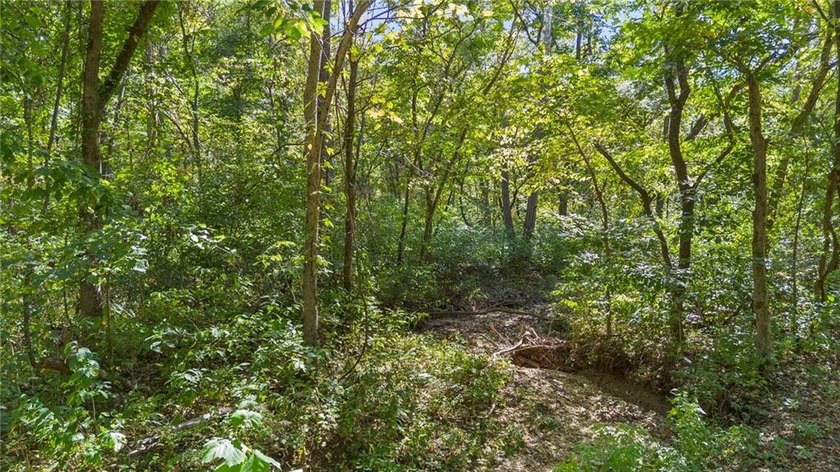 Nearly 80 acres of Lake of the Ozarks land in Gravois Mills, MO - photo 3