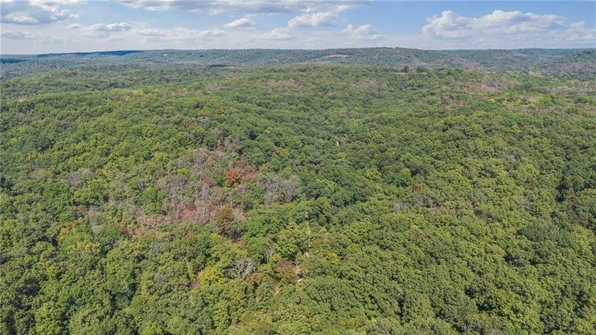 Nearly 80 acres of Lake of the Ozarks land in Gravois Mills, MO - photo 4