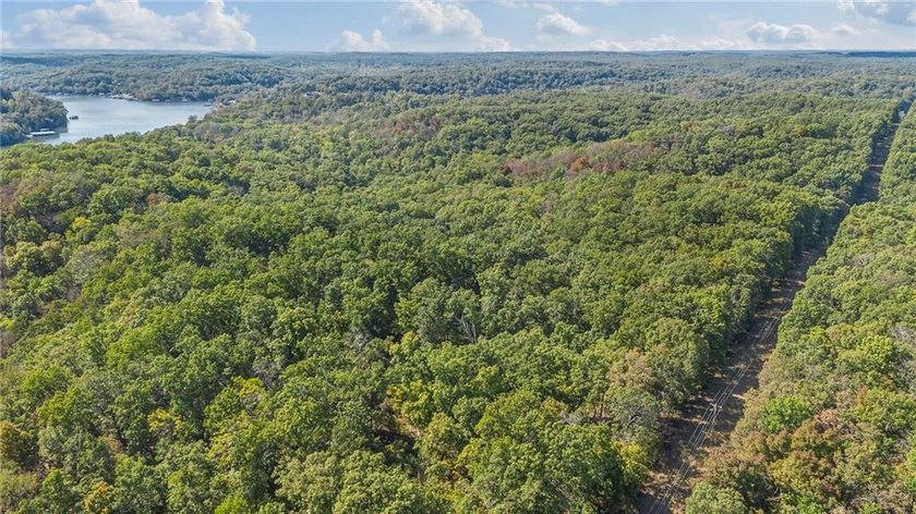 Nearly 80 acres of Lake of the Ozarks land in Gravois Mills, MO - photo 6