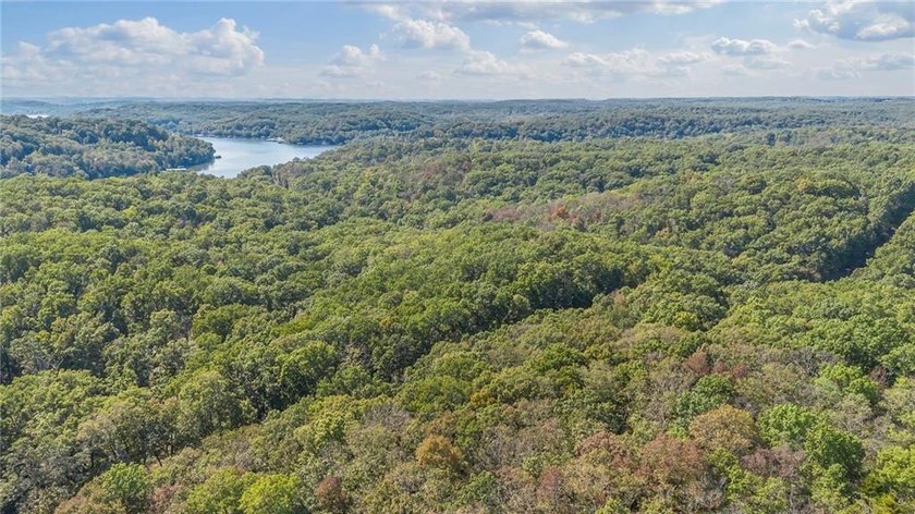 Nearly 80 acres of Lake of the Ozarks land in Gravois Mills, MO - photo 8