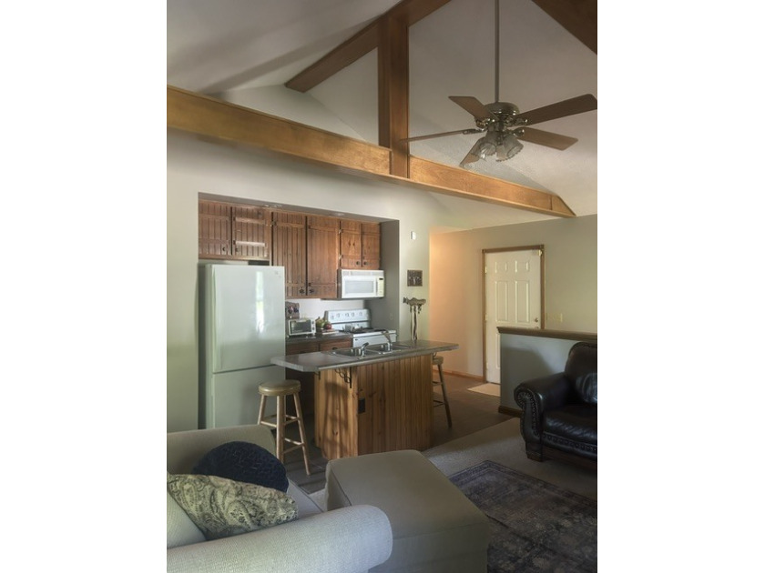 Living Room/Kitchen Area - photo 5