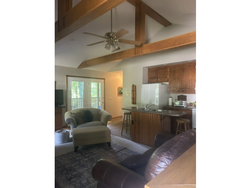 Living Room/Kitchen Area - photo 4