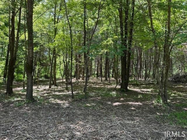 Peaceful 3-acre parcel in a beautiful park like setting primed - photo 3