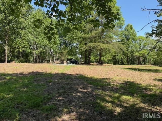 Peaceful 3-acre parcel in a beautiful park like setting primed - photo 4