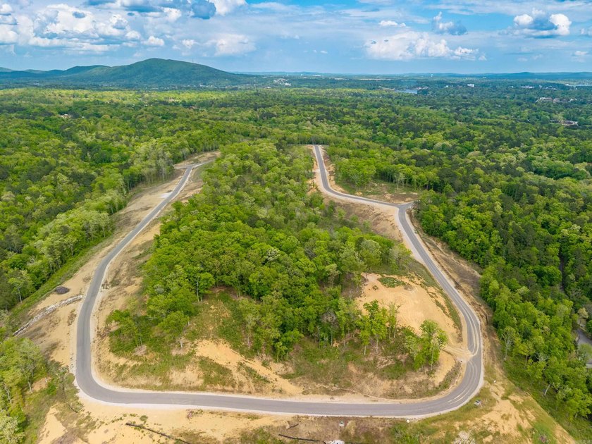 Exceptional 5.6 acre homesite in Rocky Point Estates, a new - photo 6