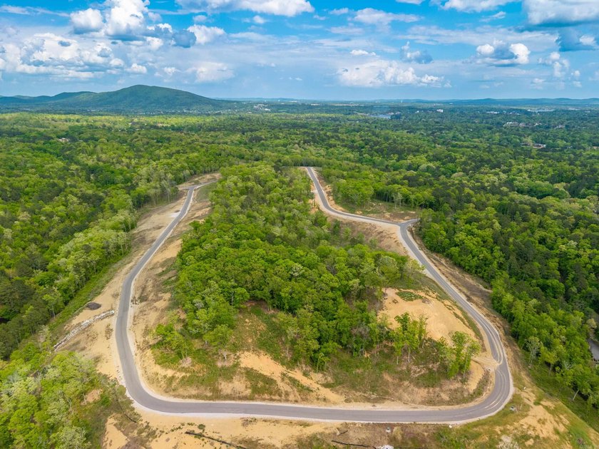 Exceptional 5.6 acre homesite in Rocky Point Estates, a new - photo 7