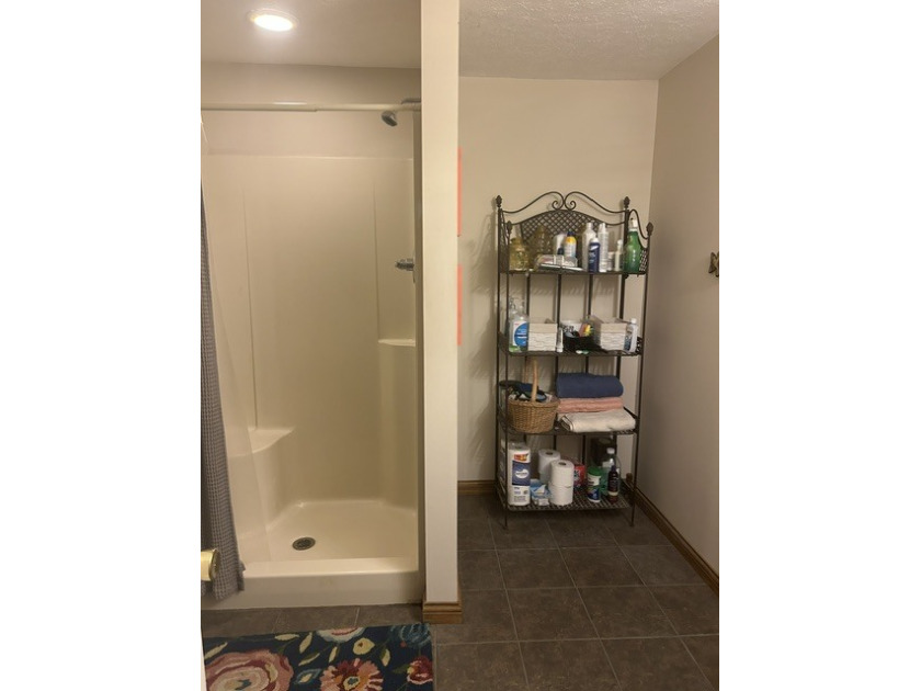 Master Bath - photo 18