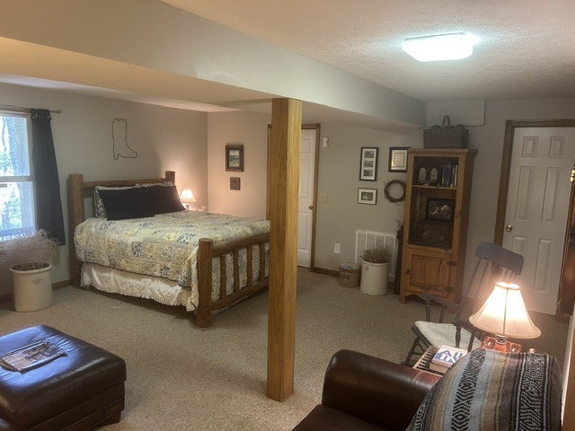 Master Suite - photo 7