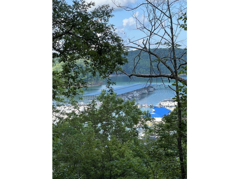 AFFORDABLE LAKE VIEW Cabin Near Jamestown Marina! If you've been - photo 3