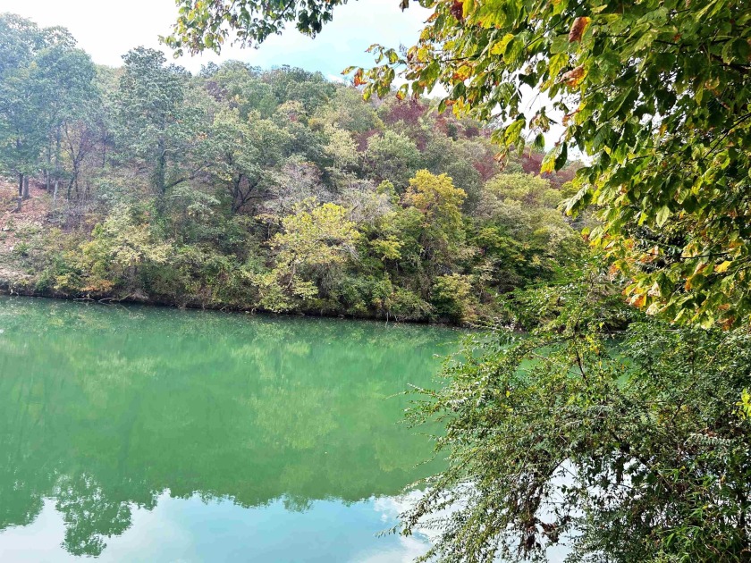 Waterfront Getaway on the Beautiful Spring River! This - photo 38