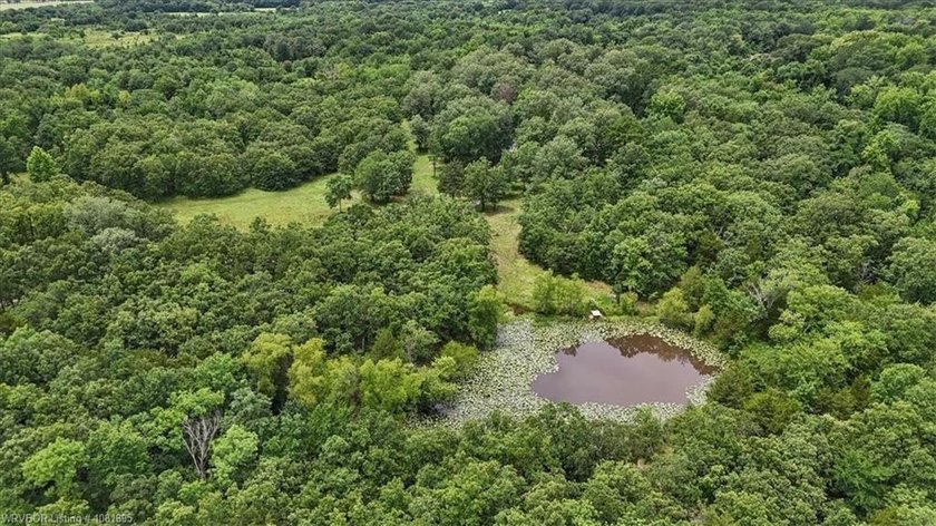 Nestled in the scenic Kiamichi River Valley, with direct access - photo 34