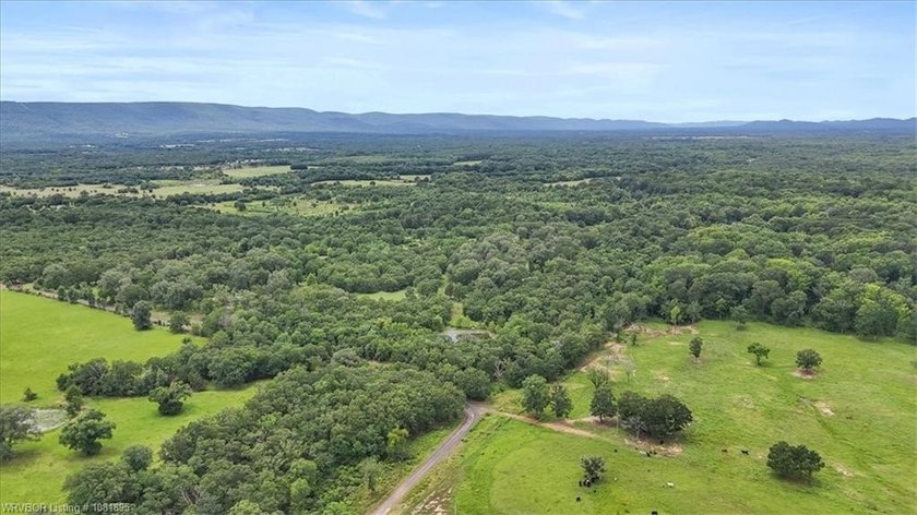 Nestled in the scenic Kiamichi River Valley, with direct access - photo 35