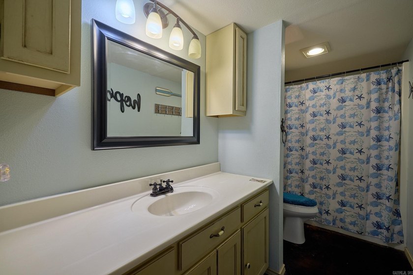 INVESTMENT PROPERTY? 3 RENTABLE UNITS! on Lake Hamilton! Welcome - photo 11