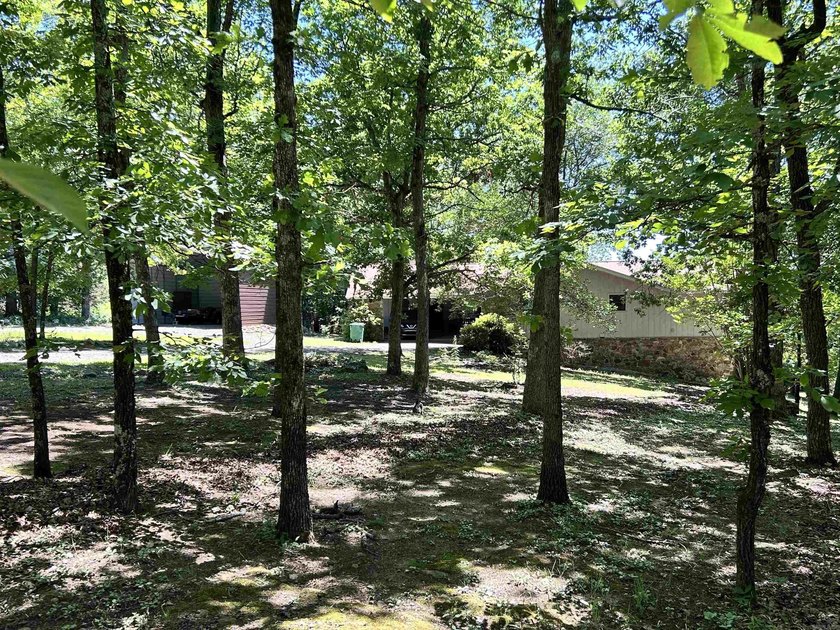 3 bd / 2 bath home. It has a circle drive with RV / boat parking - photo 3