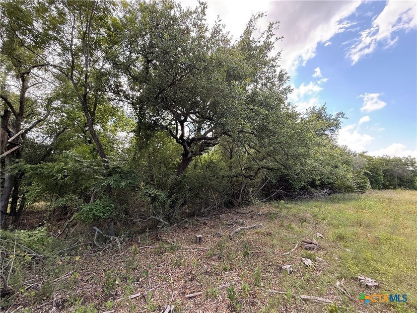 Beautiful acreage with seasonal creek and exceptional views! - photo 10