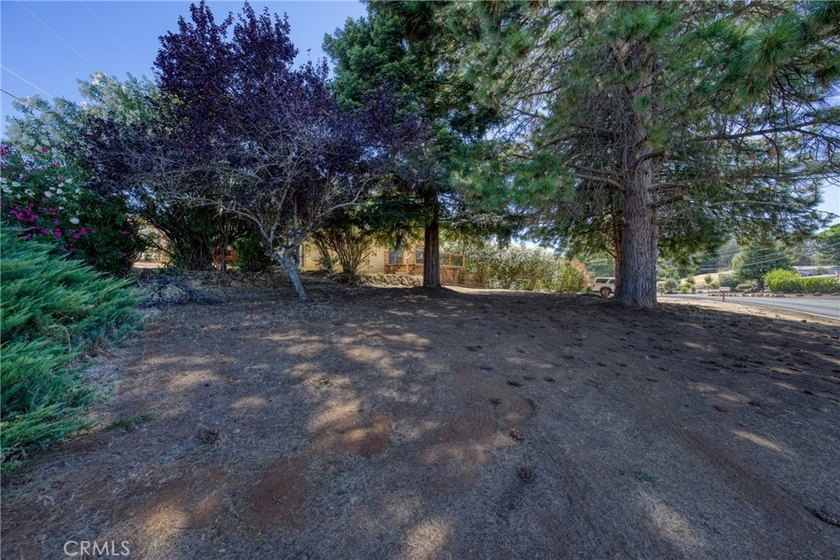 Hello NEW Roof ! Cute house, large lot, lots of parking, garage - photo 35