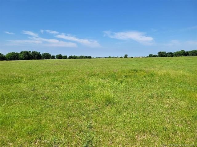 Beautiful 160 acres +/- just minutes from town! Located on paved - photo 3