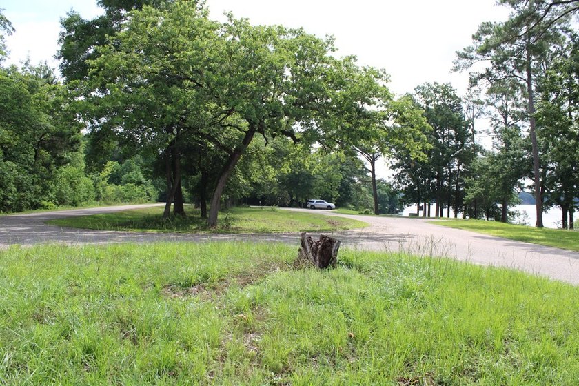 Reduced price!!!!!!!!! Beautiful large lot on 1.49 acres, just - photo 12