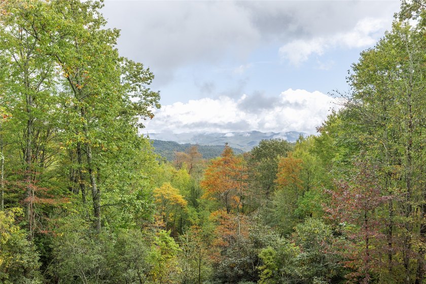 Experience an upscale outdoor lifestyle in the Chinquapin gated - photo 21