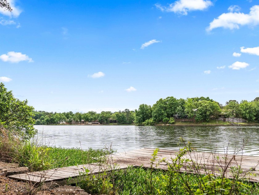 3 BED 3 BATH LAKE FRONT HOME WITH A SWIM DOCK! FISH OR SWIM - photo 2