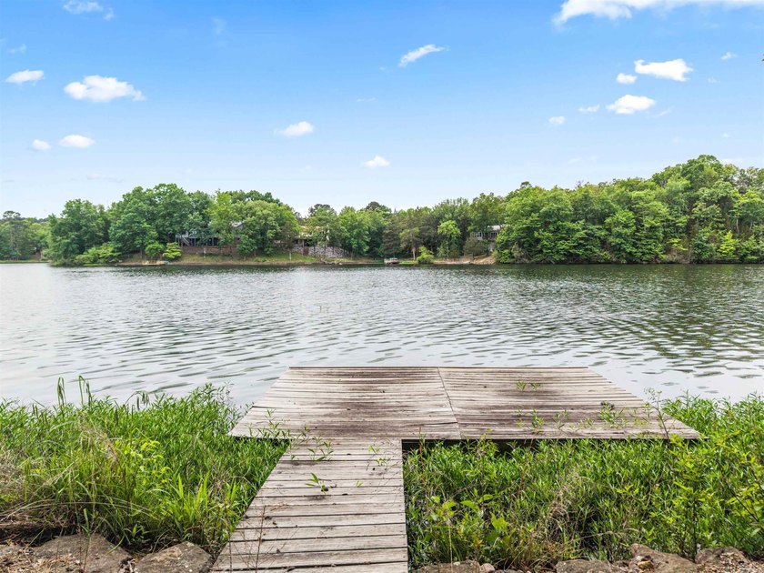3 BED 3 BATH LAKE FRONT HOME WITH A SWIM DOCK! FISH OR SWIM - photo 3