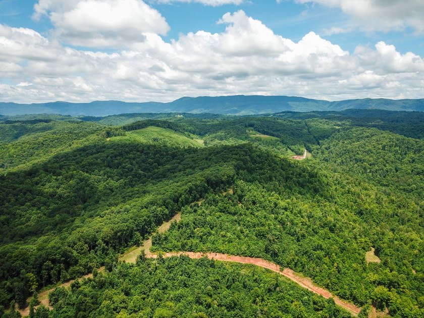 Introducing Lot 5 by Norris Lake in Union County, Tennessee: - photo 12