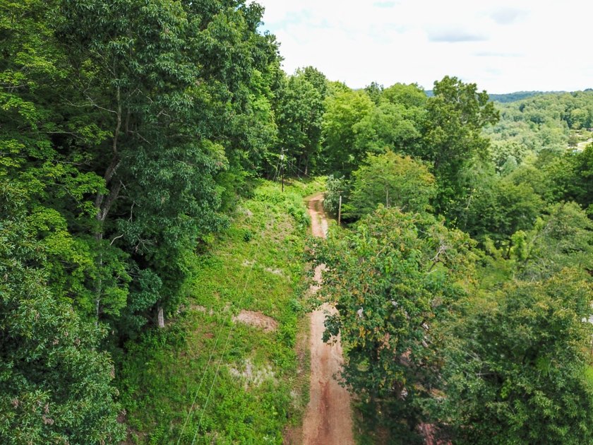 Introducing Lot 5 by Norris Lake in Union County, Tennessee: - photo 16