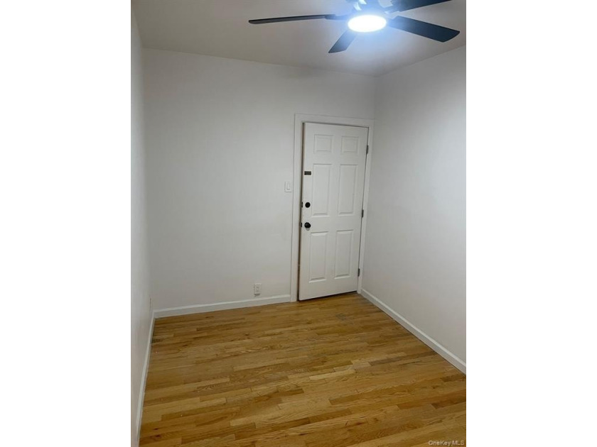 Large brick fully renovated multi family in the Longwood section - photo 11