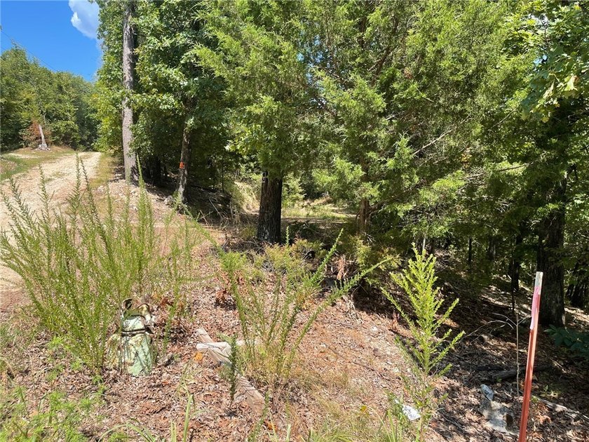 Located within the Wolf-Ridge Estate, this is a beautiful - photo 4