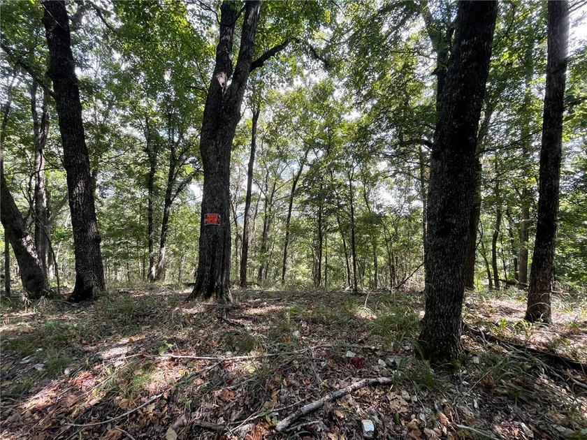 Located within the Wolf-Ridge Estate, this is a beautiful - photo 7