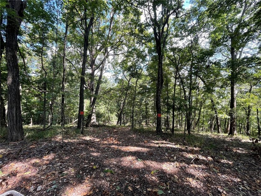 Located within the Wolf-Ridge Estate, this is a beautiful - photo 9