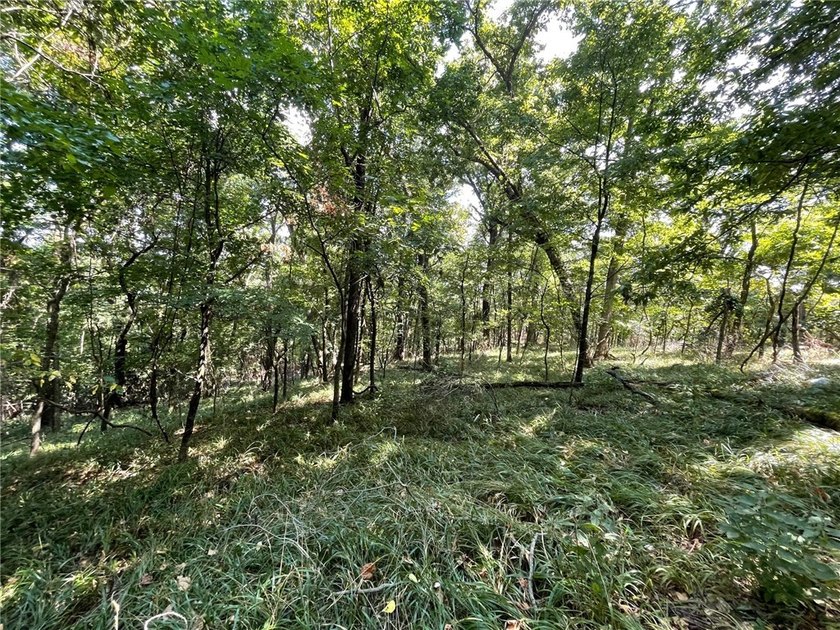 Located within the Wolf-Ridge Estate, this is a beautiful - photo 10
