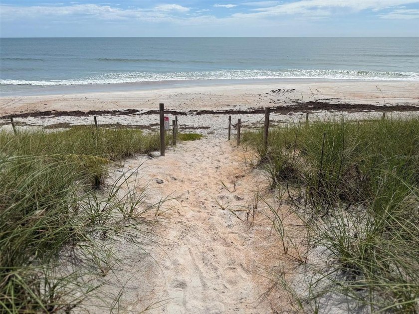Own Your Own Slice Of Paradise - 50 Feet Of DIRECT OCEAN - photo 8